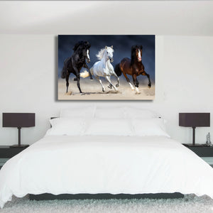 Canvas Wall Art: 3 Mane Horses (48"x32")