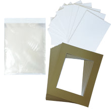 Load image into Gallery viewer, Studio 500 10-Pack Picture Mats for 16&quot;x20&quot; frame with 11&quot;x14&quot; Opening (Various Colors)
