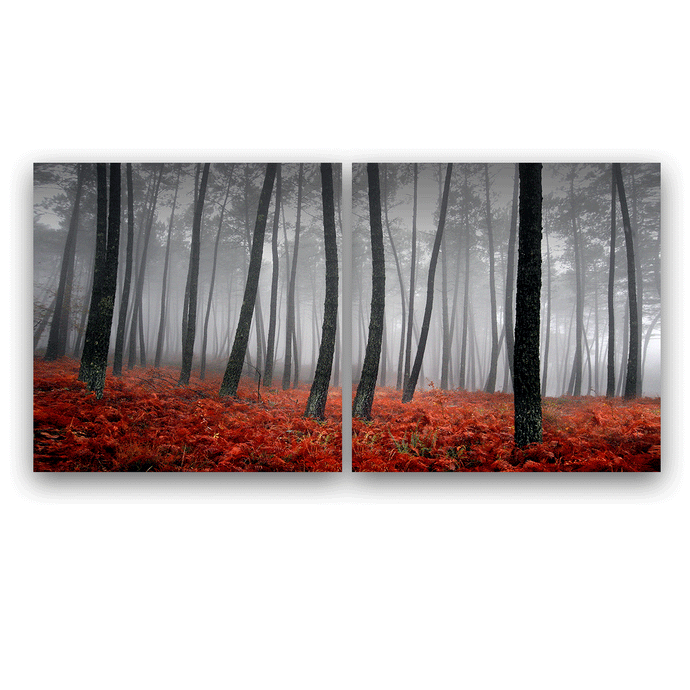 Canvas Wall Art: The Mysterious Forest; 2 panels (total size 60