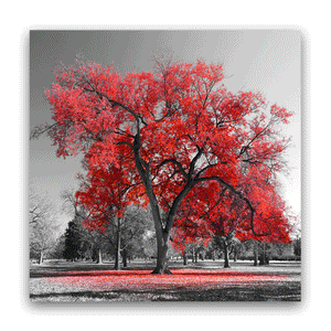 Canvas Wall Art: The Big Red Tree on a Black& White Landscape (32"x32")