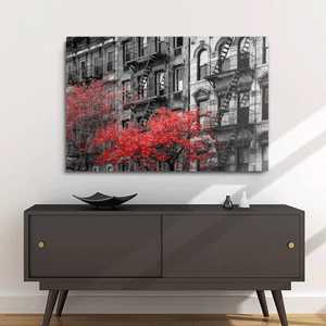 Canvas Wall Art: Red Trees in Paris, the City of Love (48"x32")