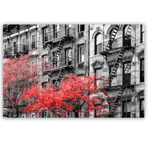 Canvas Wall Art: Red Trees in Paris, the City of Love (48"x32")