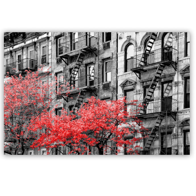 Canvas Wall Art: Red Trees in Paris, the City of Love (48