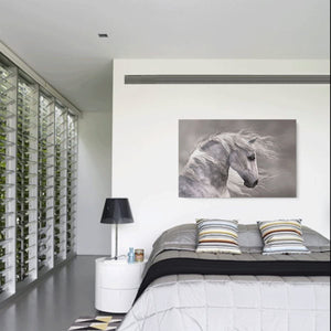 Canvas Wall Art: Natures Beauty the Wild White Stallion (48"x32")