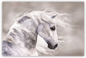Canvas Wall Art: Natures Beauty the Wild White Stallion (48"x32")