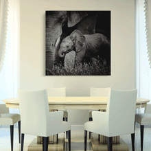 Load image into Gallery viewer, Canvas Wall Art: Natures Beauty, Mama Elephant&#39;s Love to her Baby (32&quot;x32&quot;)
