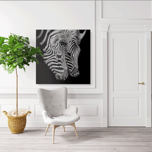 Canvas Wall Art: Two African Zebras (32"x32")