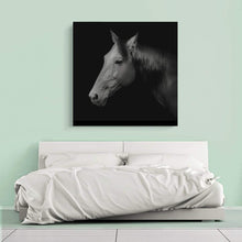 Load image into Gallery viewer, Canvas Wall Art: The Russian Trotter Race Horse, Black &amp; White (32&quot;x32&quot;)
