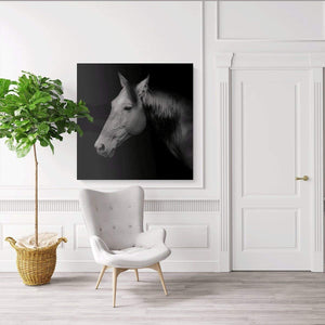 Canvas Wall Art: The Russian Trotter Race Horse, Black & White (32"x32")