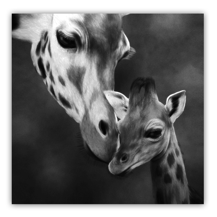 Canvas Wall Art: Mama & Baby Giraffe (32