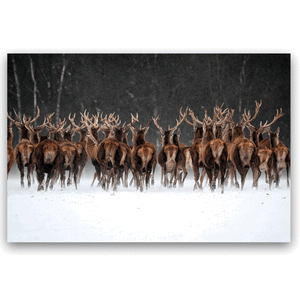 Canvas Wall Art: A Vast Herd of Reindeer (48"x32")