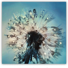 Load image into Gallery viewer, Canvas Wall Art: The Dewy Dandelion (32&quot;x32&quot;)
