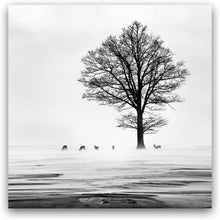 Load image into Gallery viewer, Canvas Wall Art: The Deer Under a Tree (32&quot;x32&quot;)
