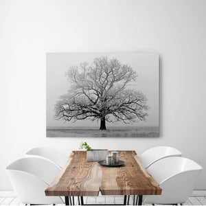 Canvas Wall Art: Nature's Beauty of the Lonesome Tree in Winter (48"x32")