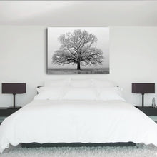 Load image into Gallery viewer, Canvas Wall Art: Nature&#39;s Beauty of the Lonesome Tree in Winter (48&quot;x32&quot;)
