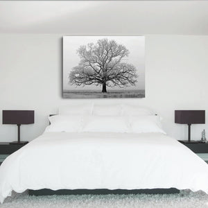 Canvas Wall Art: Nature's Beauty of the Lonesome Tree in Winter (48"x32")